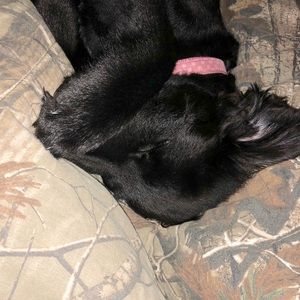 Meet your Posher, Jill